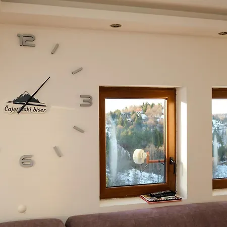 公寓 Cajetinski Biser -apartment Lux 科帕奥尼克